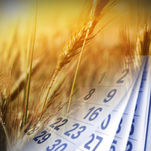FSA Important Dates Wheat Image